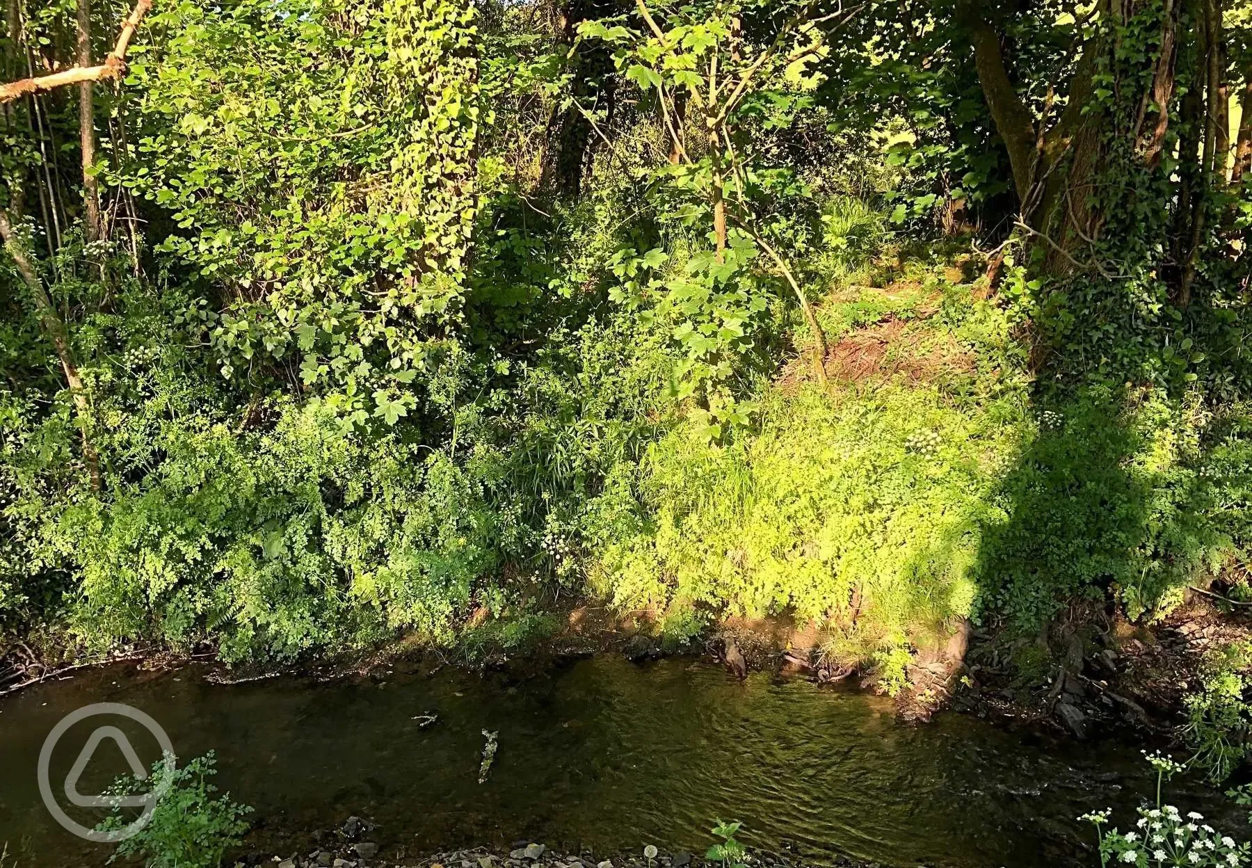 River running through site