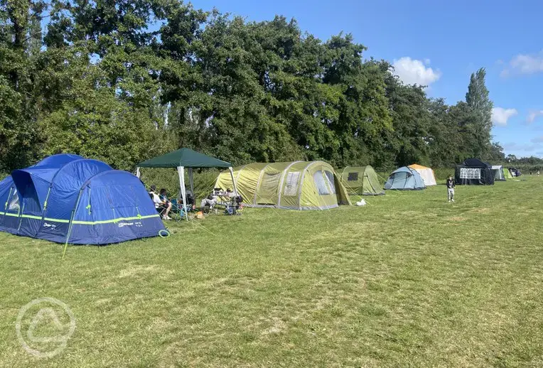 Non electric grass pitches