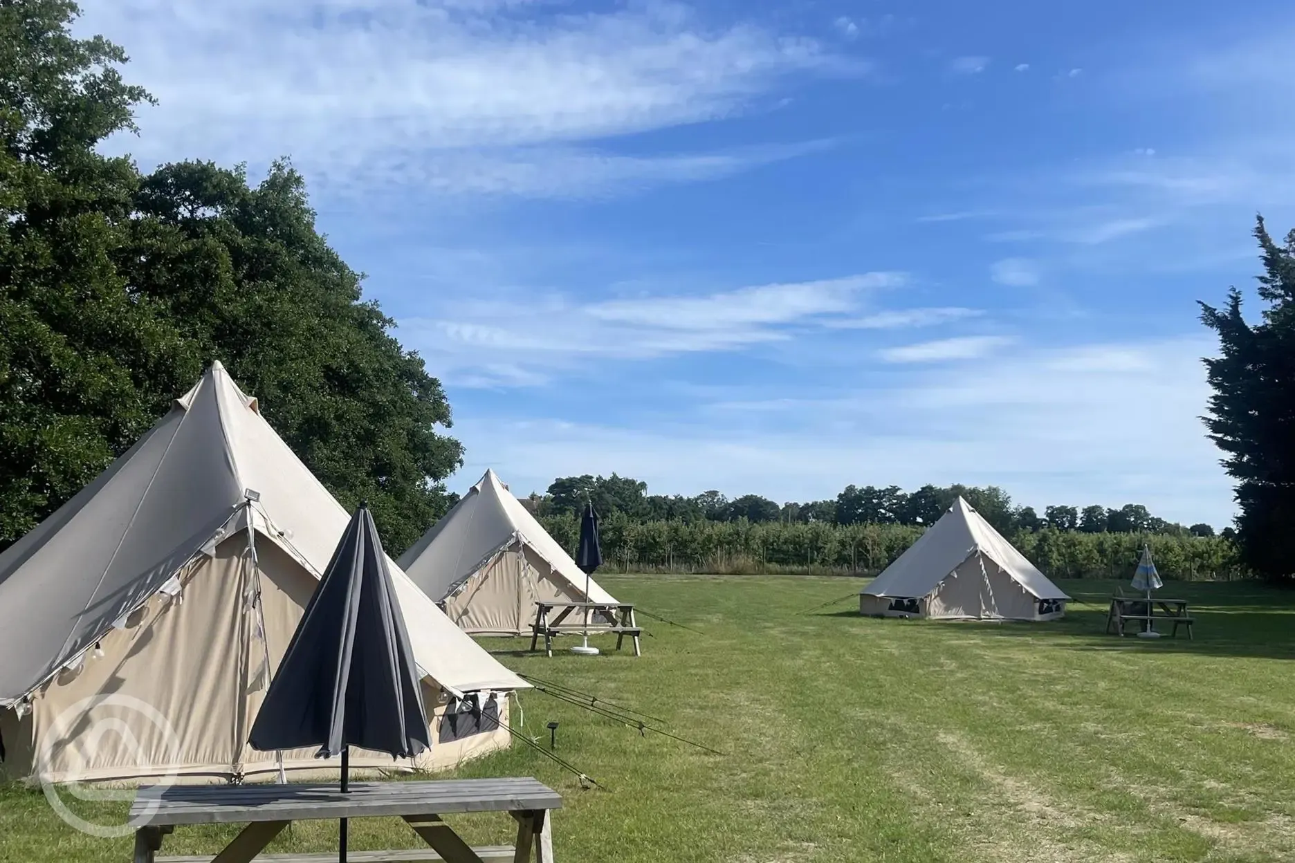 Bell tent exterior 