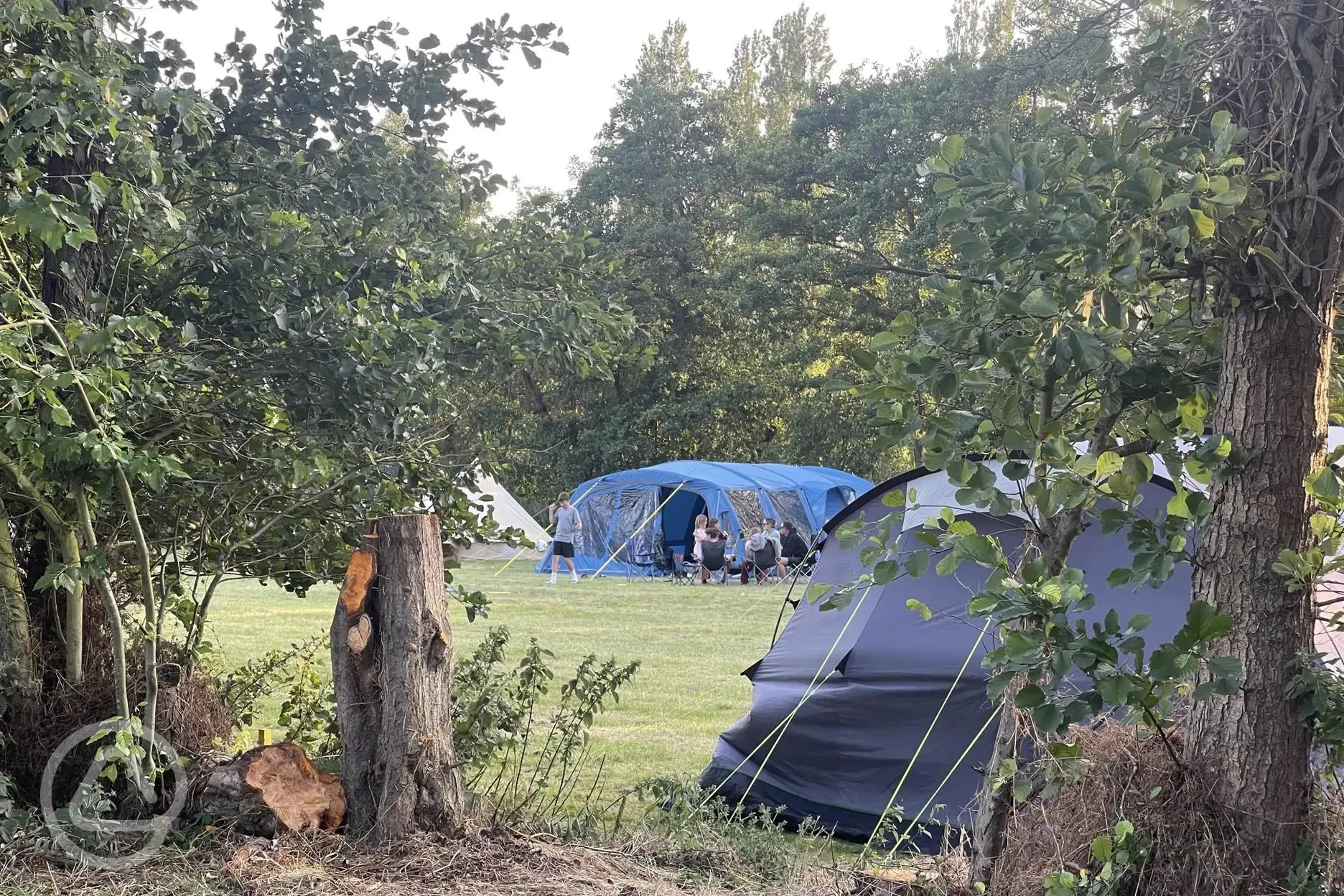 Non electric grass pitches