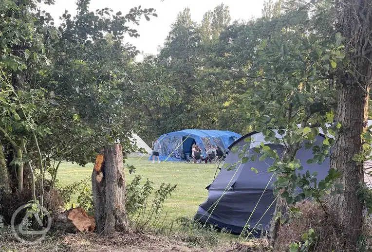 Non electric grass pitches