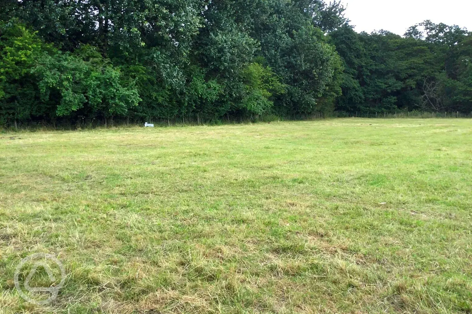 Grass pitches on the bottom field