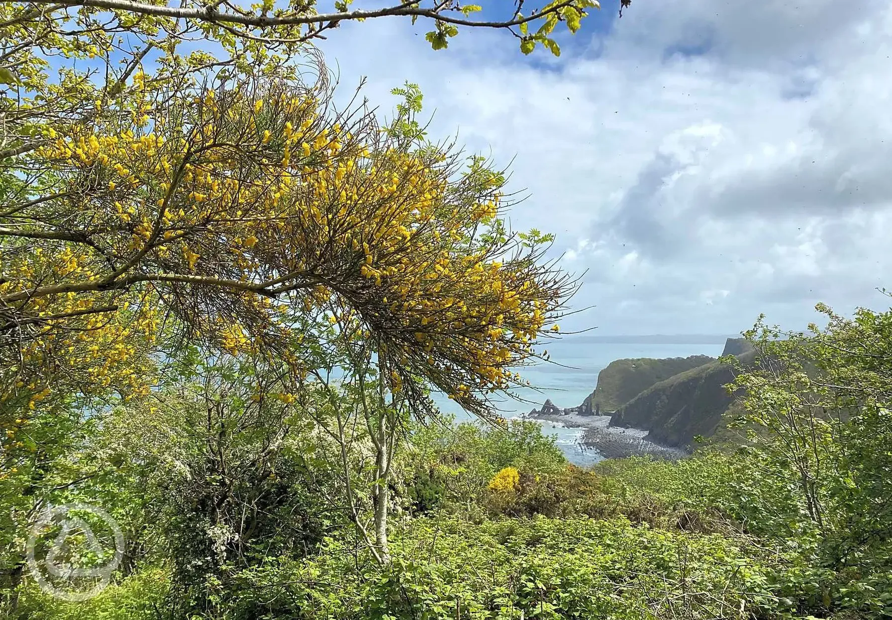 Coastal path