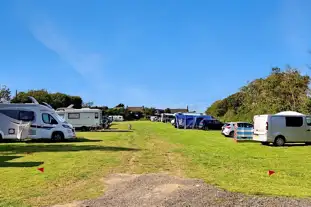 Wildly Camping, Bude, Cornwall