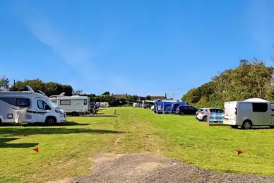 Wildly Camping