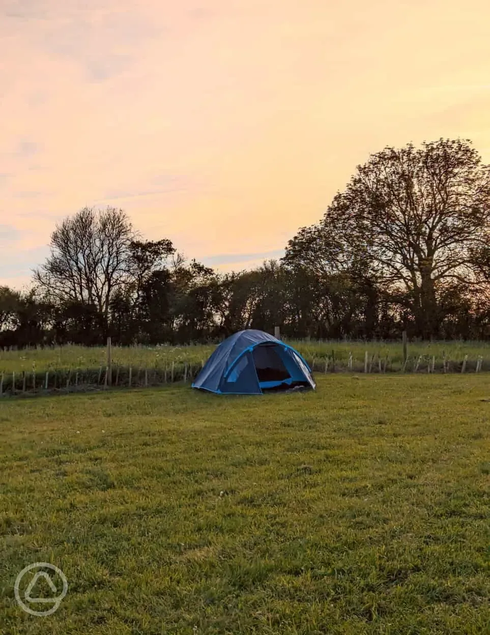 Non electric grass tent pitches at sunset