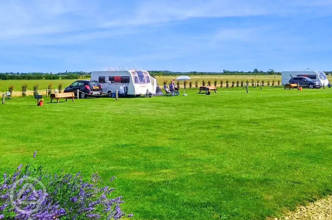 Electric grass pitches