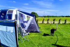 Electric grass pitches