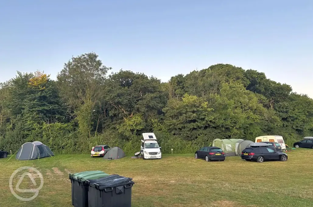 Non electric grass pitches