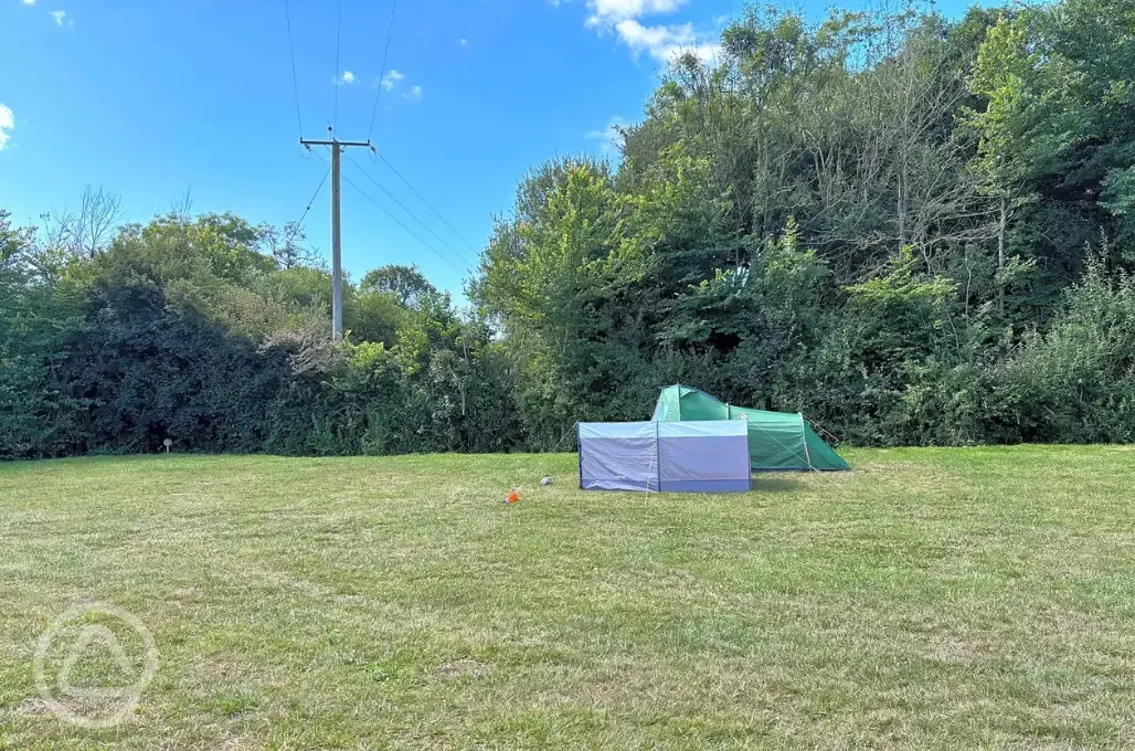 Non electric grass pitches