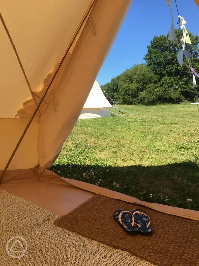 Looking out from bell tent