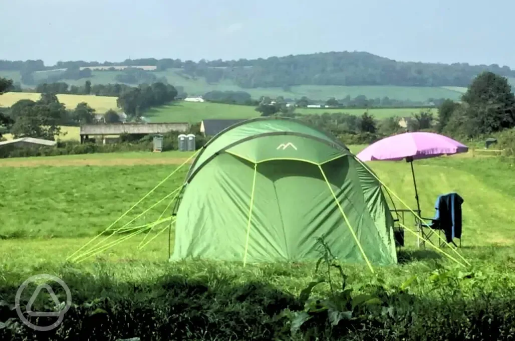 Non electric grass pitches