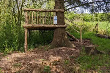 Tree house