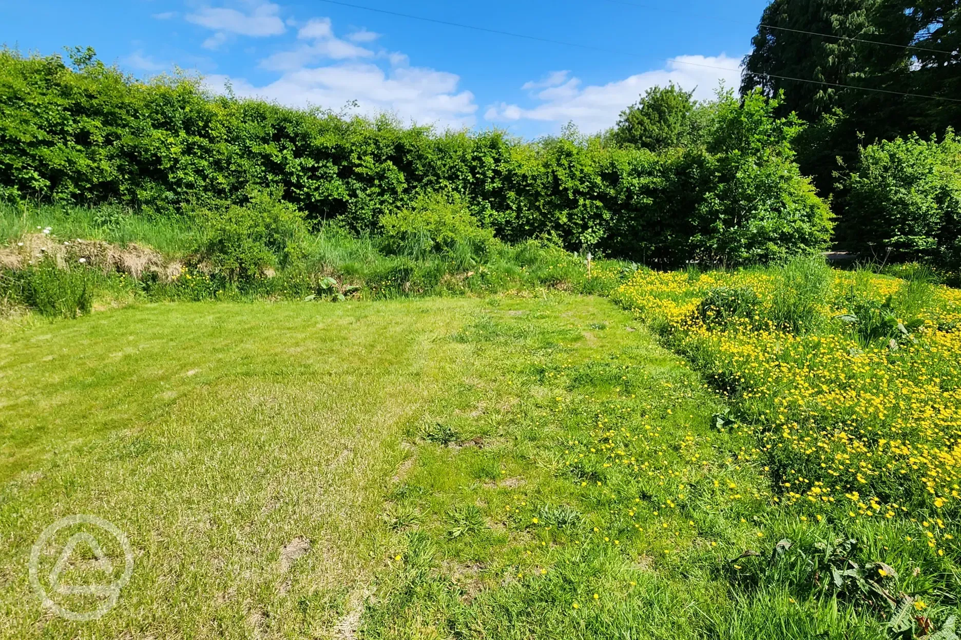 Non electric grass tent pitch