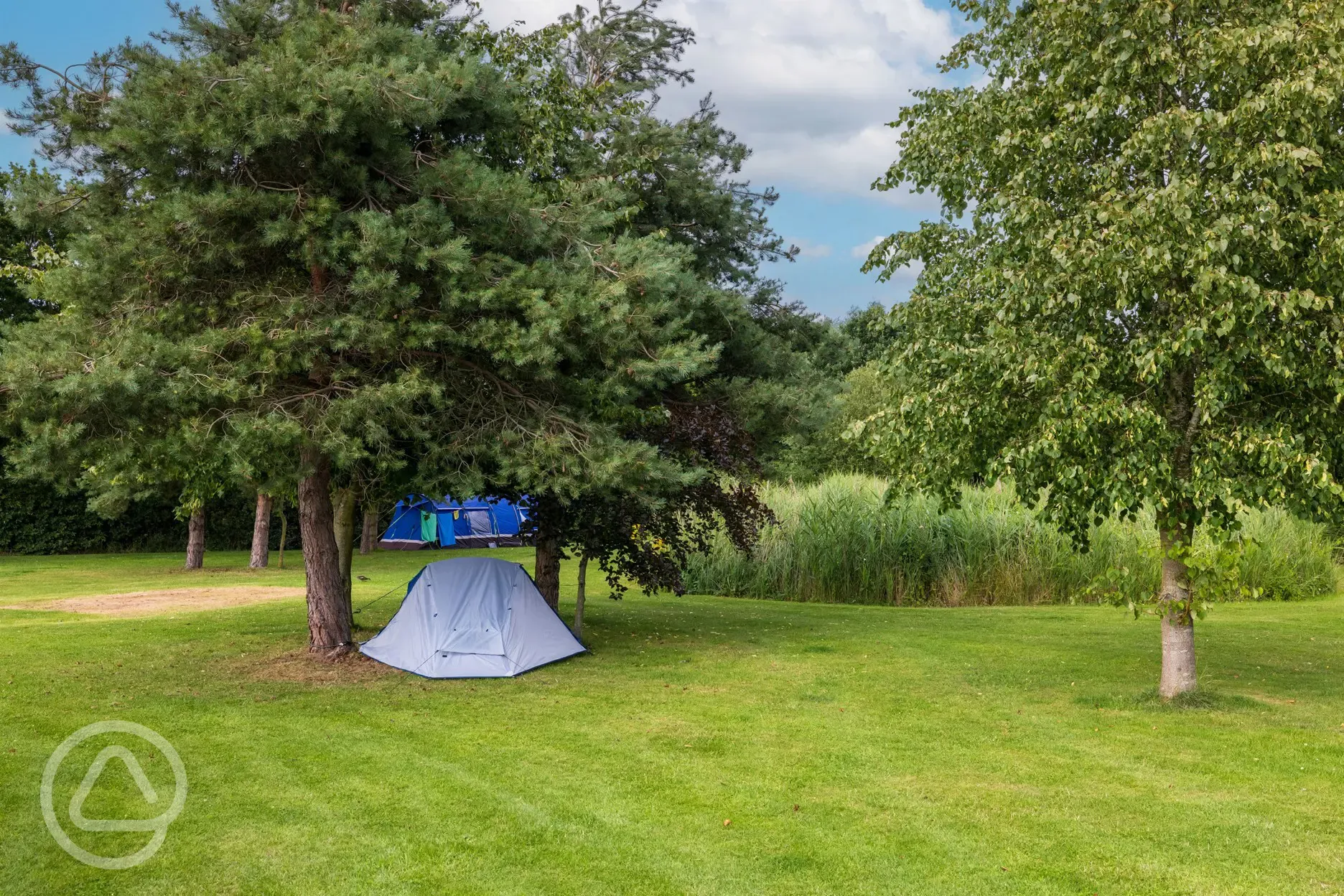 Grass tent pitches