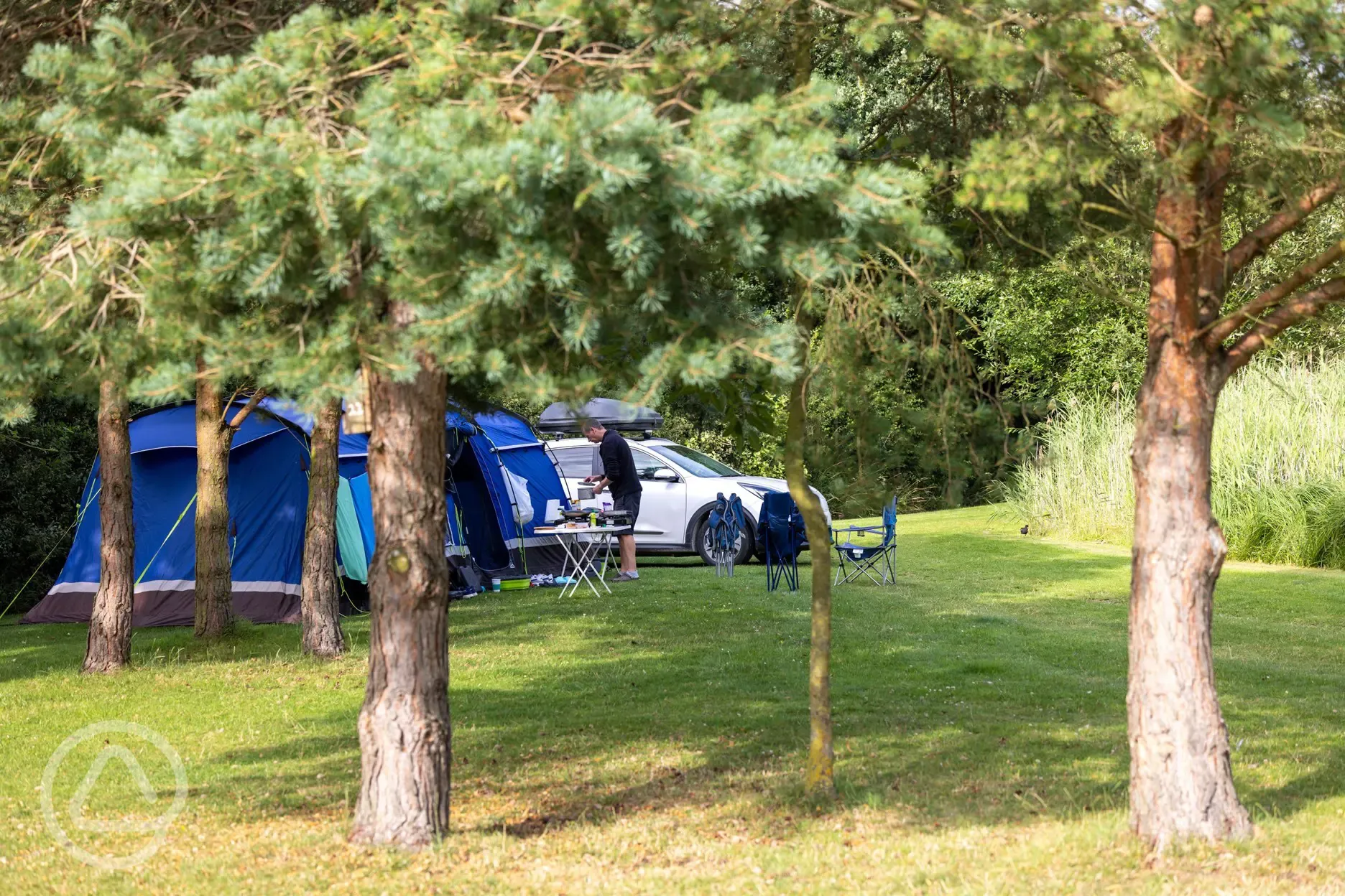 Grass tent pitches