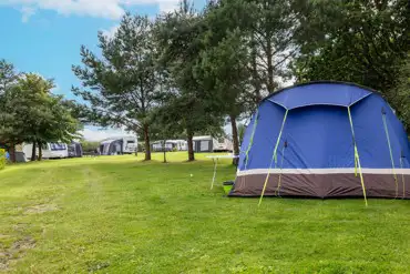 Grass tent pitches