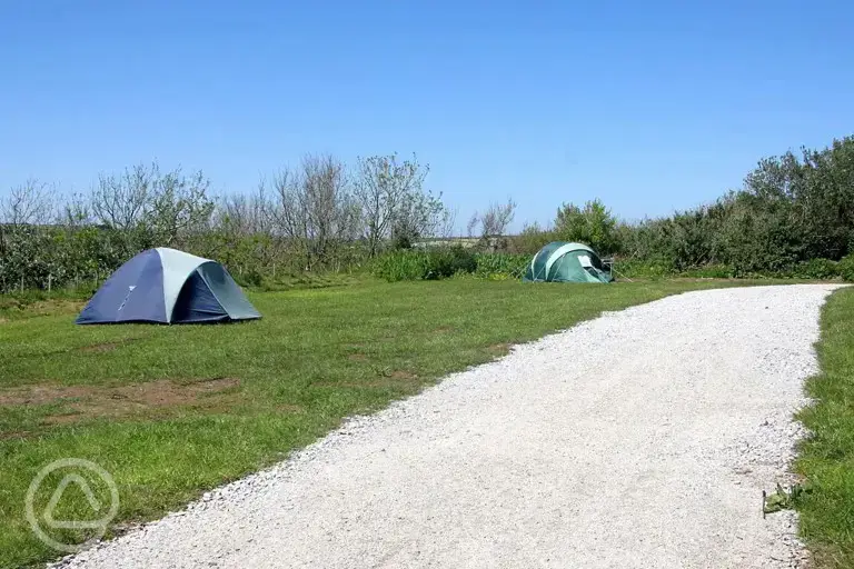 Non electric grass tent pitches