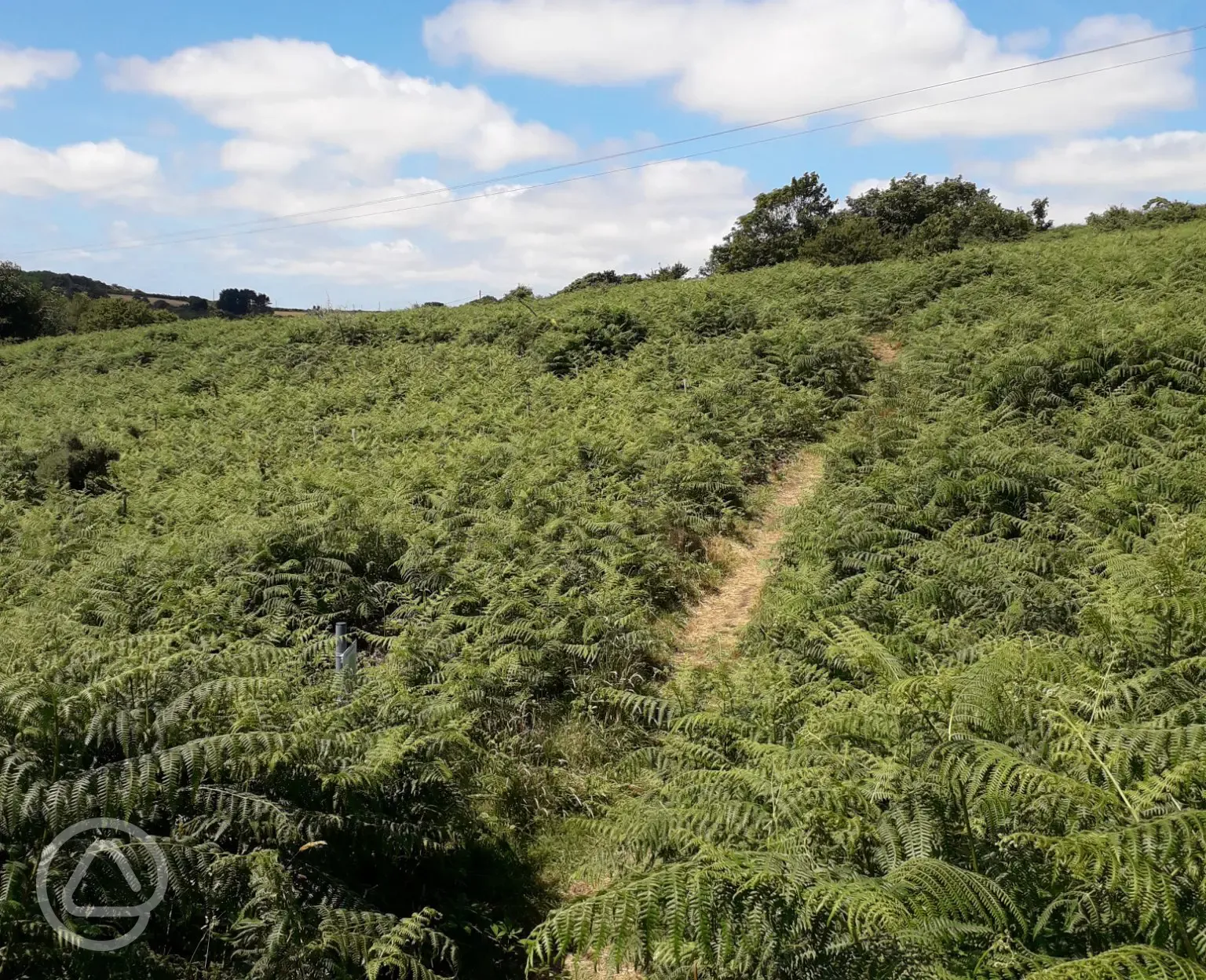 Onsite nature trail