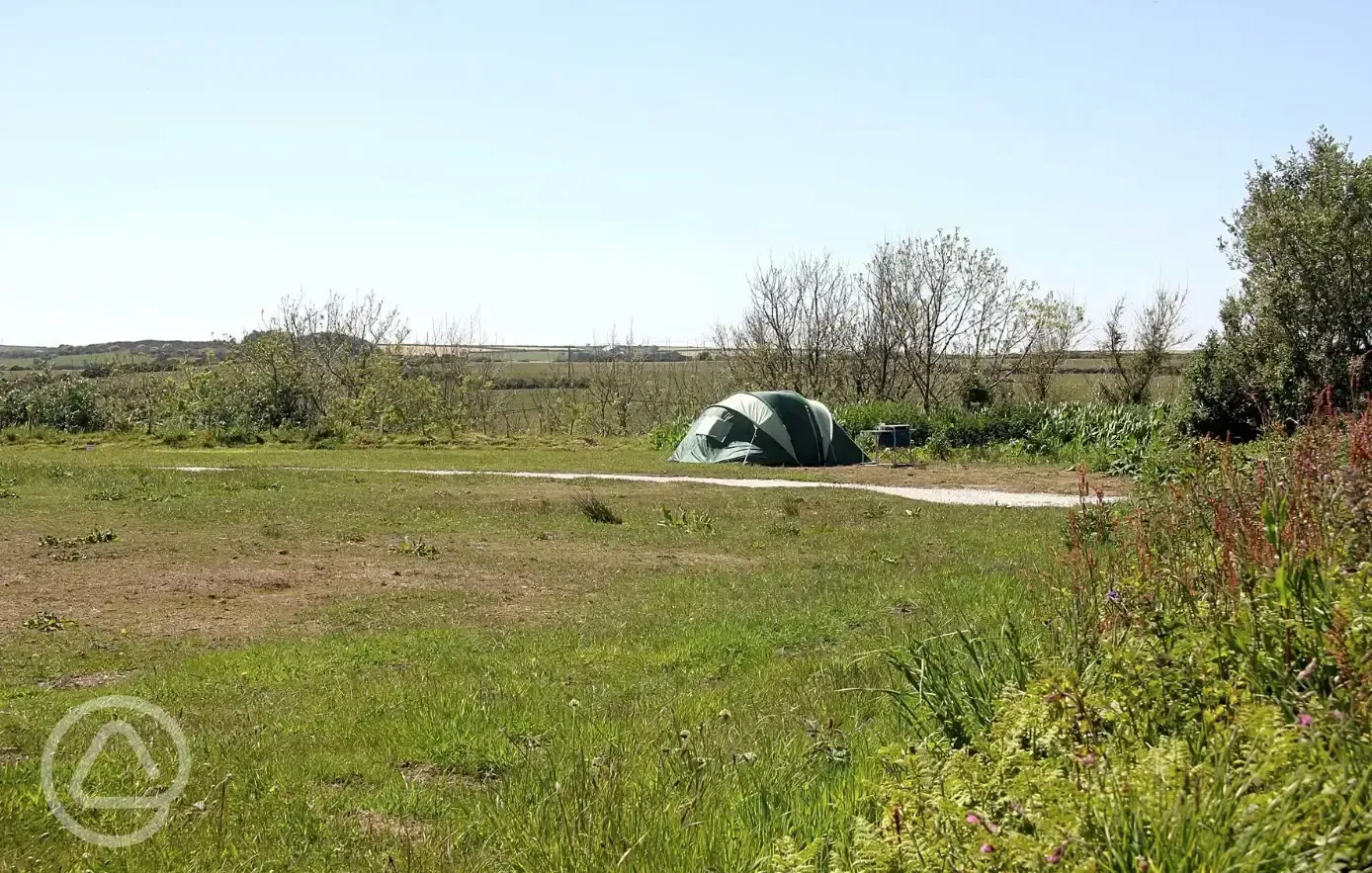 Non electric grass tent pitches