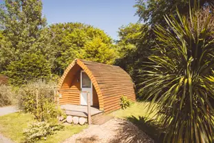 The Tunnel Pods, Charmouth, Dorset (1.2 miles)