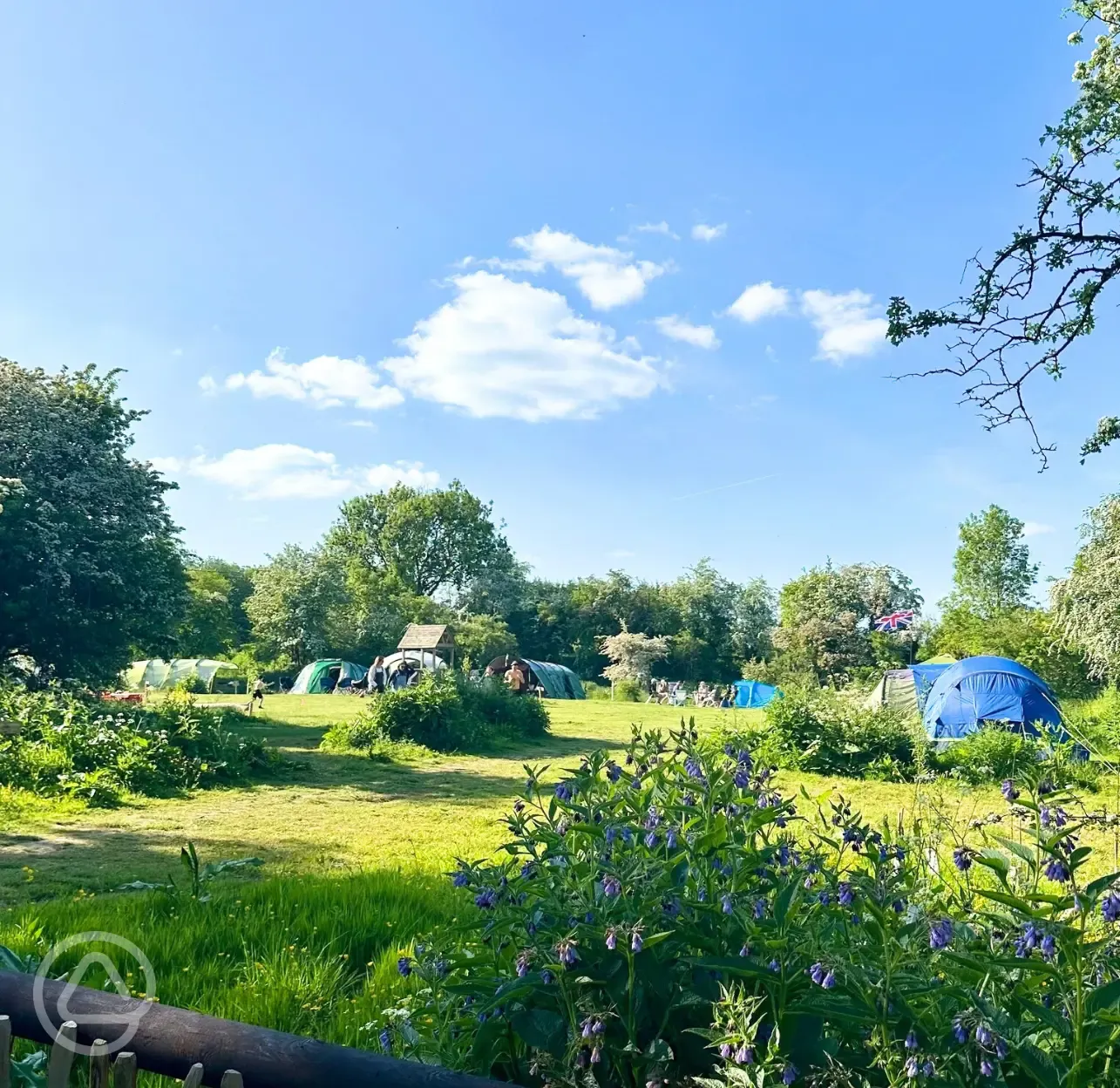 Non electric grass tent pitches