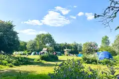 Non electric grass tent pitches at Wildings Holidays (car free field)