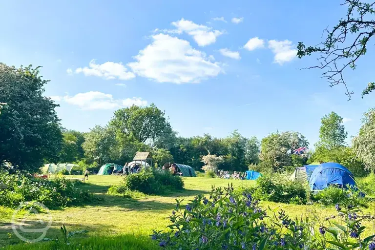 Non electric grass tent pitches