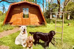 Camping pods are dog friendly