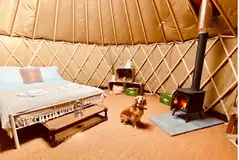 Yurts are dog friendly, with a wood burner and cooking equipment