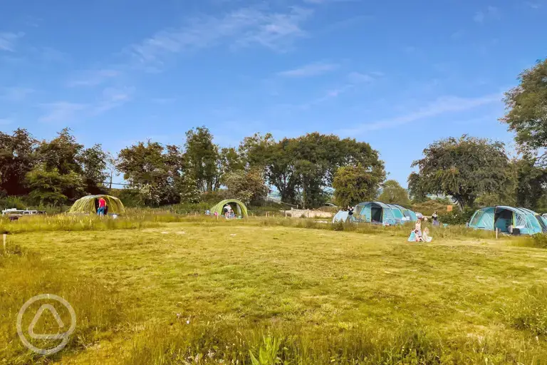 Non electric grass tent pitches