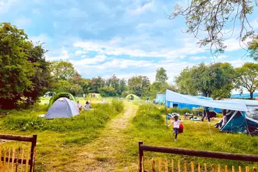 Non electric grass tent pitches in a vehicle free field at Wildings Holidays