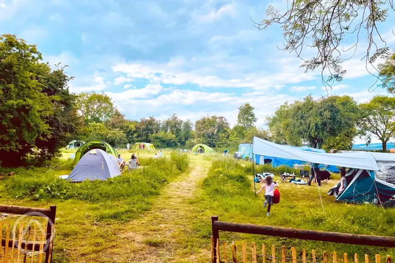 Non electric grass tent pitches in a vehicle free field at Wildings Holidays