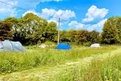 Spacious Coppice non electric grass tent pitches (9m x 14m)