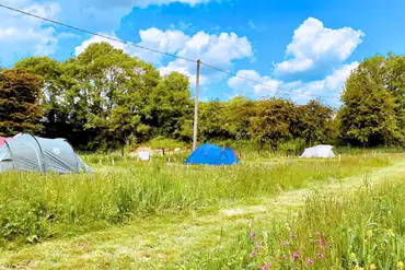 Spacious Coppice non electric grass tent pitches (9m x 14m)