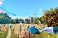 Grass pitches surrounded by wild grasses