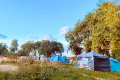 Non electric grass tent pitches in a vehicle free field (9m x 9m)