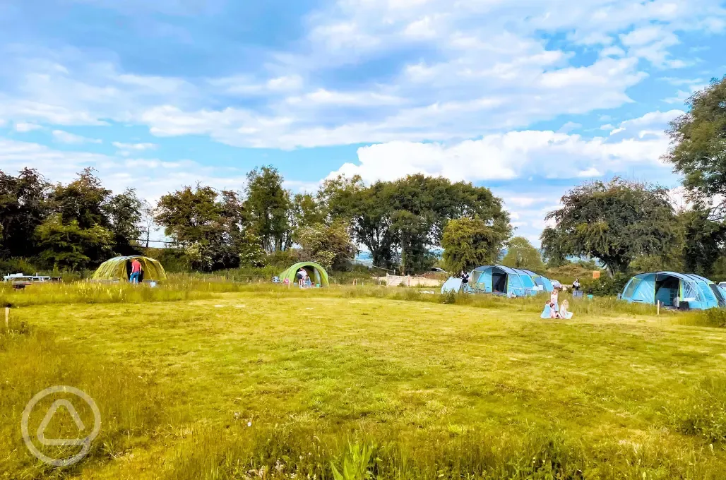 Non electric grass tent pitches