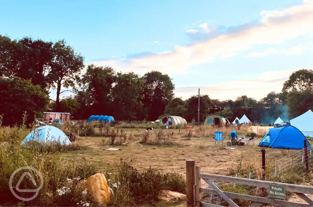 Non electric grass tent pitches