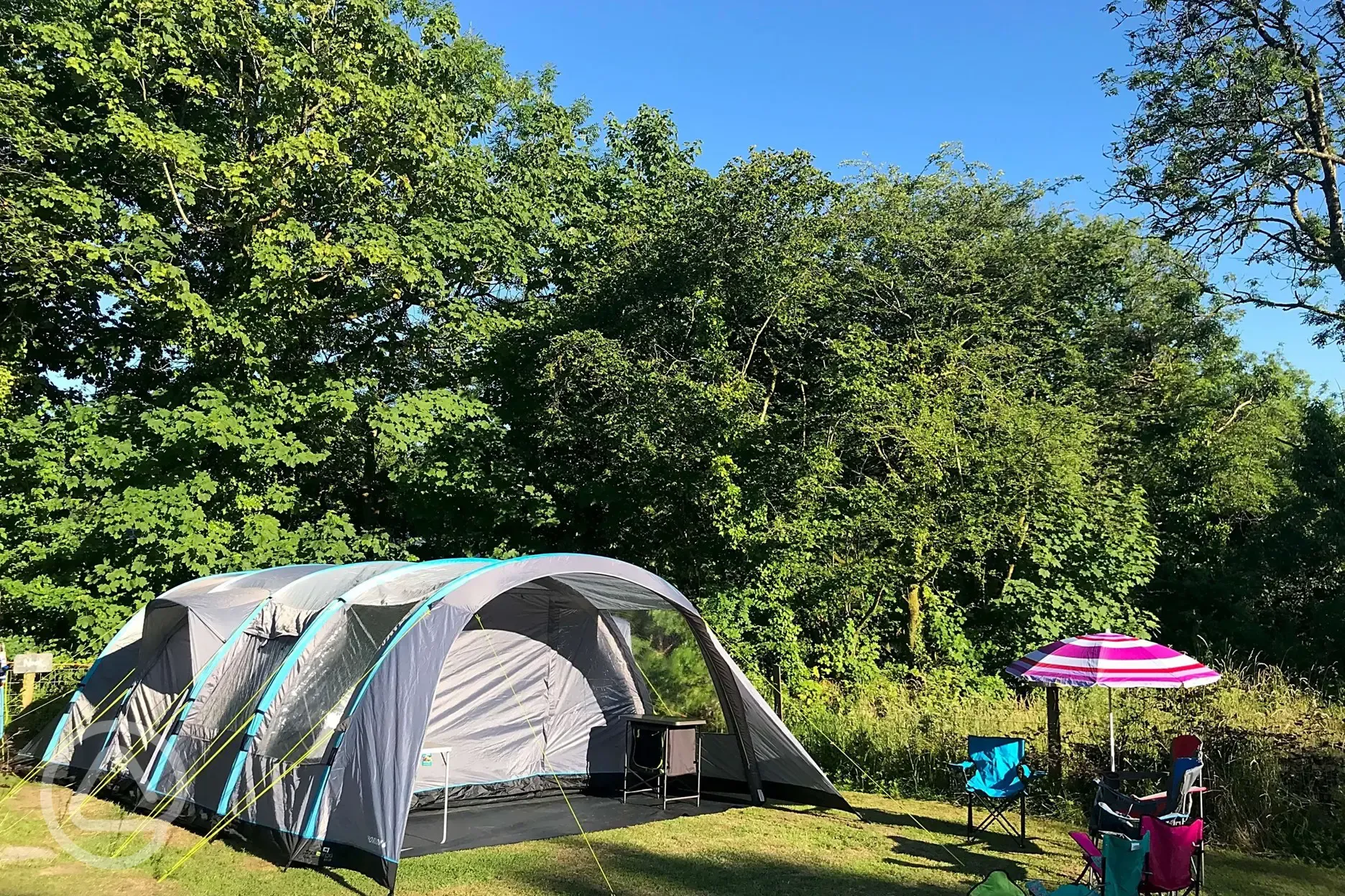 Grass tent pitches (optional electric)