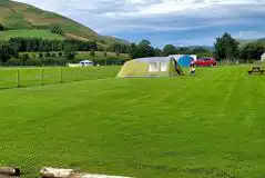 Grass pitches