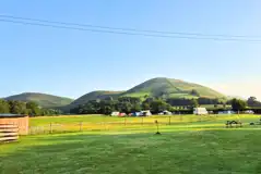 Grass mesh pitches with optional 10 amp electric