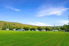 Grass mesh pitches with optional 10 amp electric