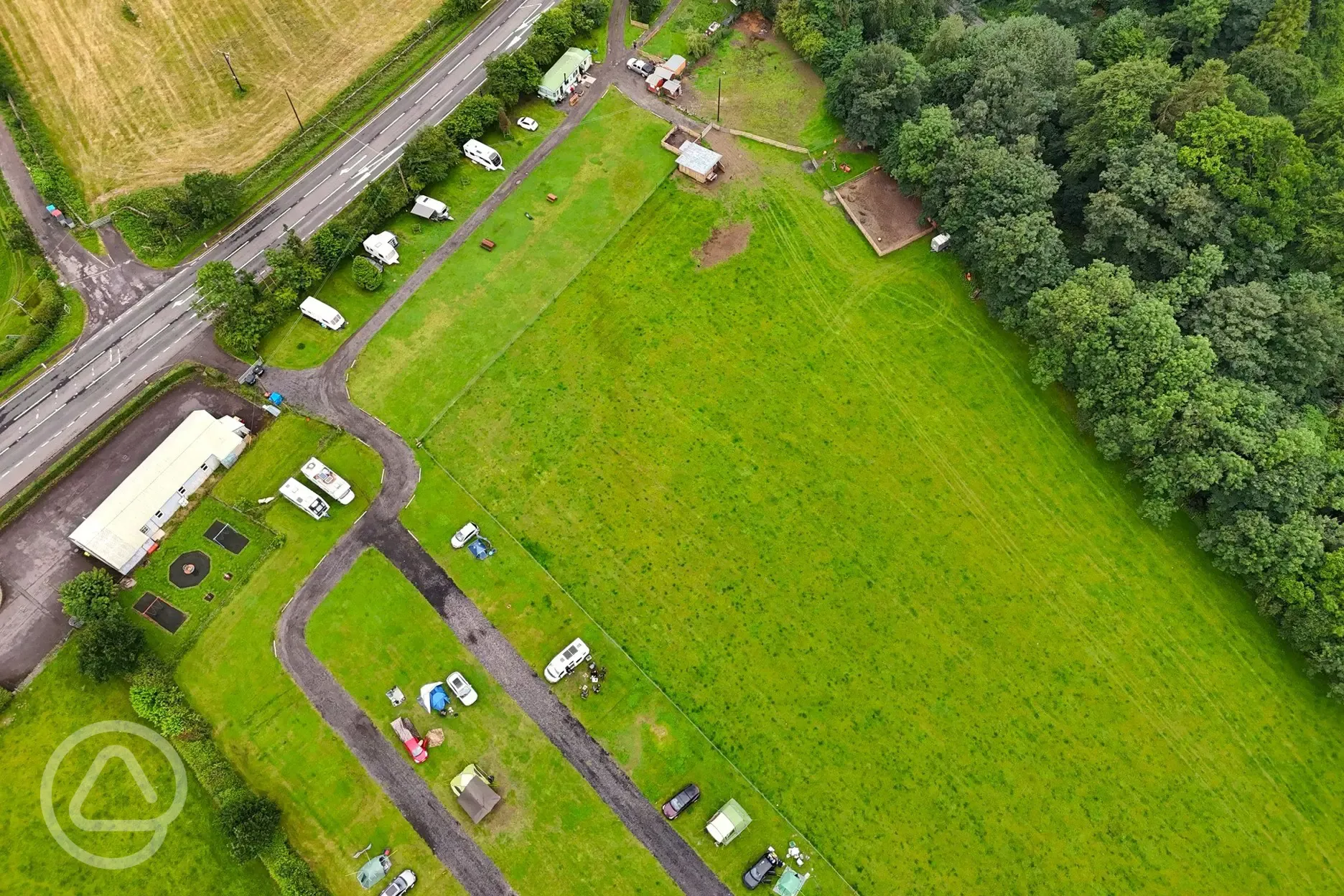 Bird's eye view of Bush of Ewes