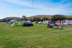 Grass mesh pitches with optional 10 amp electric