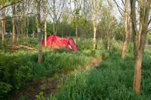 Camping in Nature at Vallis Veg, Frome, Somerset (9.7 miles)