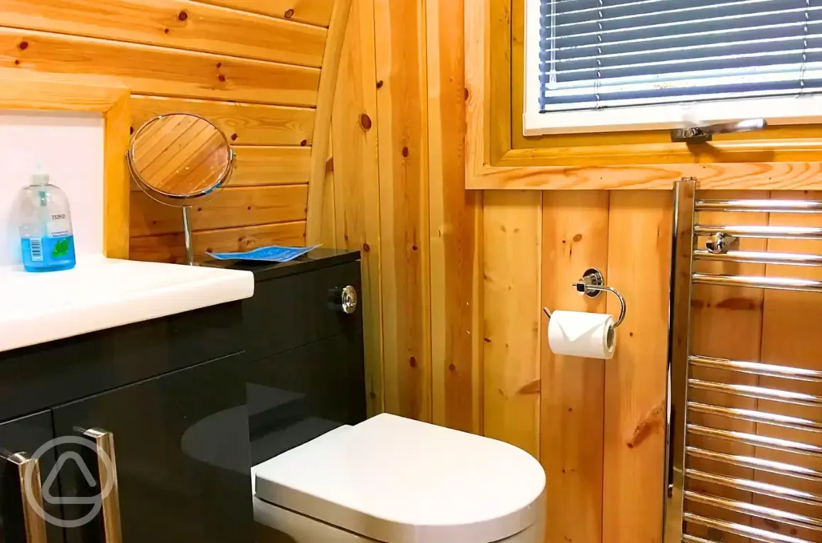 Pod ensuite with toilet, shower, sink, mirror and radiator