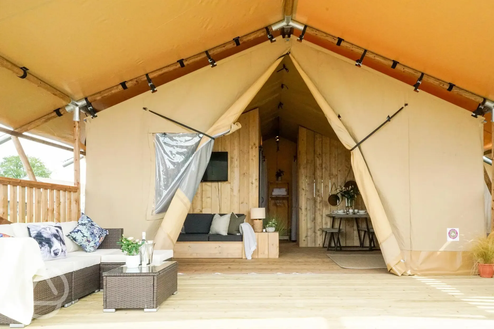 Safari tent