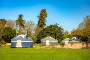 Wild Meadow Glamping, East Raynham, Fakenham, Norfolk (9.8 miles)