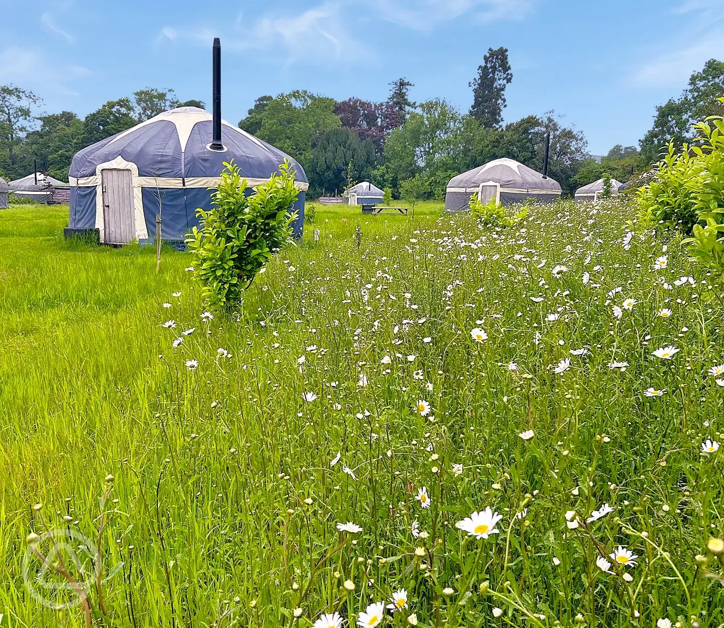 Yurts